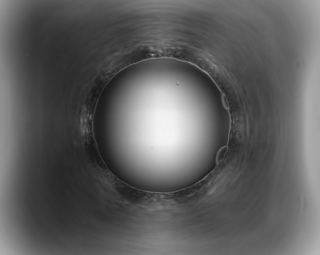 X0000088860770200706081152