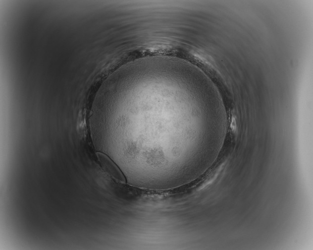 X0000088860771200706081152