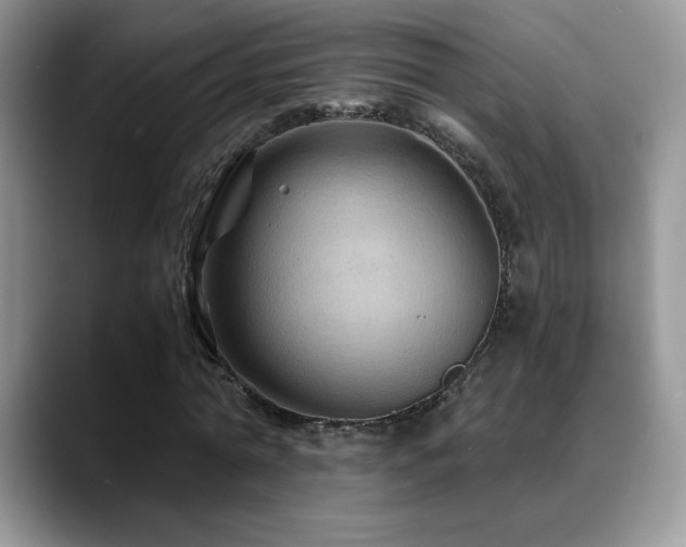 X0000088860774200706081152