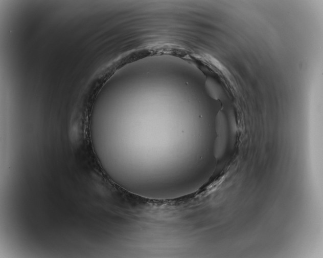 X0000088860775200706081152