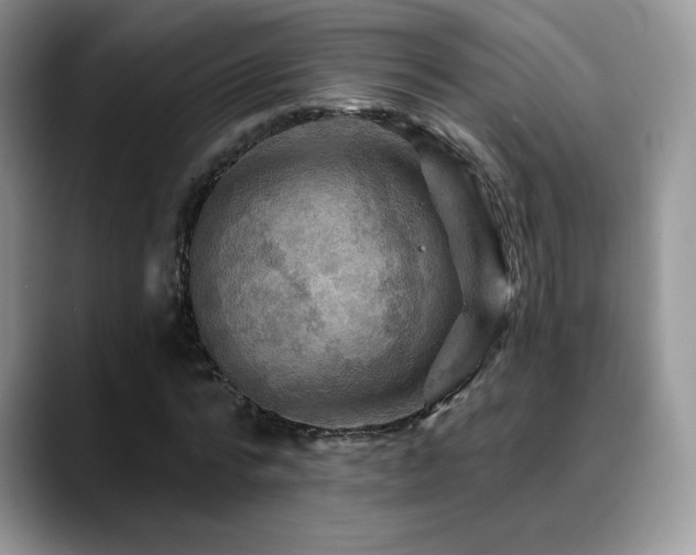 X0000088860776200706081152