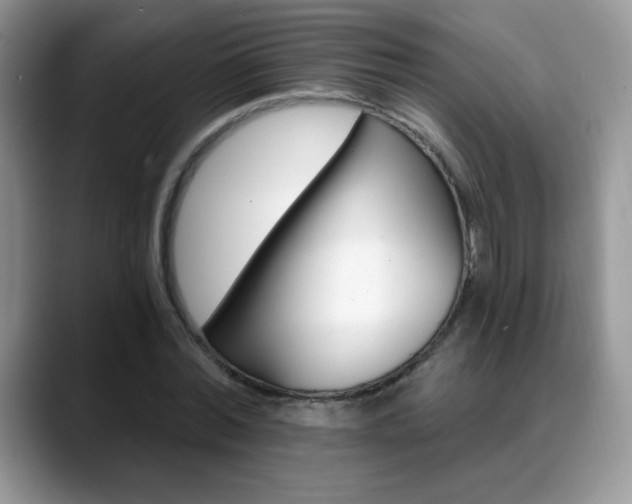 X0000088860780200706081152