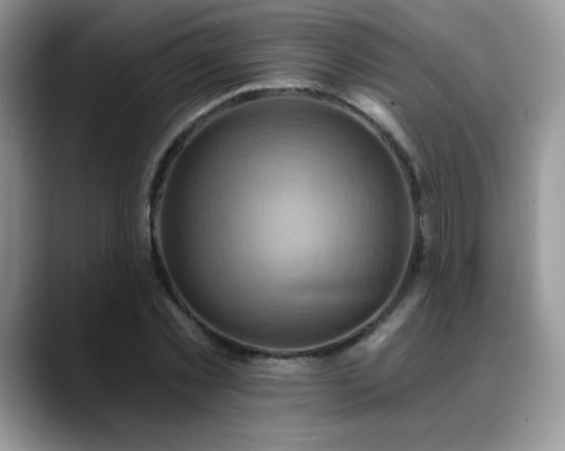 X0000088860781200706081152