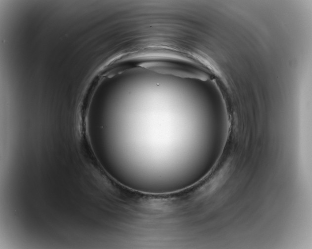 X0000088860782200706081152