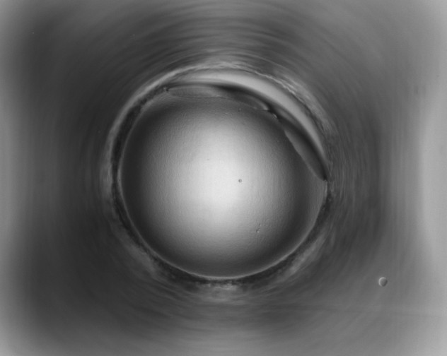 X0000088860784200706081152