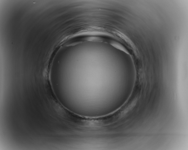 X0000088860785200706081152