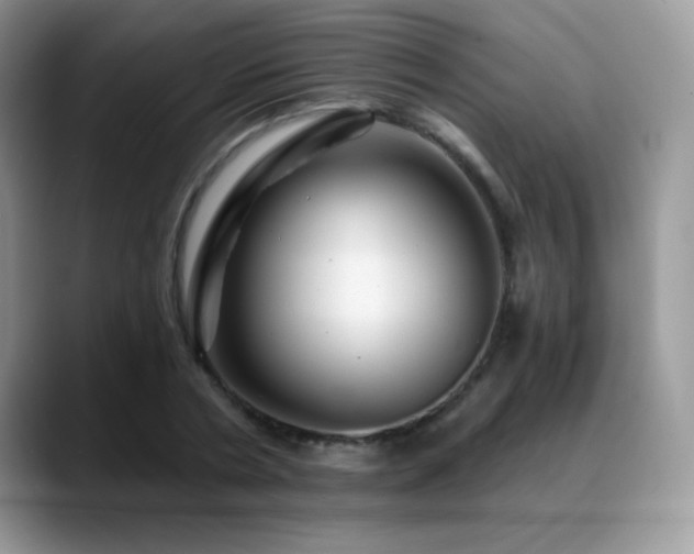 X0000088860786200706081152