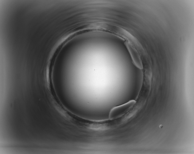 X0000088860788200706081152