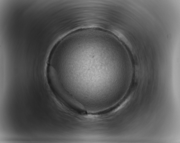 X0000088860789200706081152