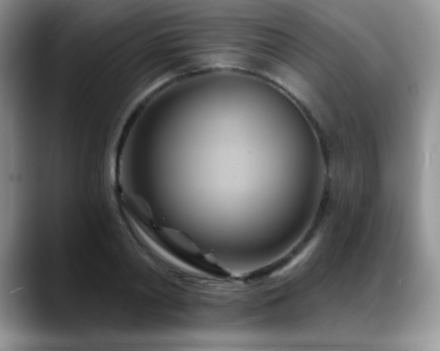 X0000088860790200706081152