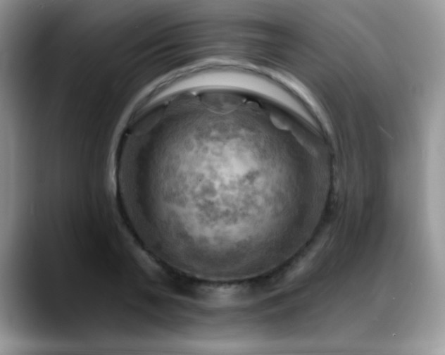 X0000088860791200706081152