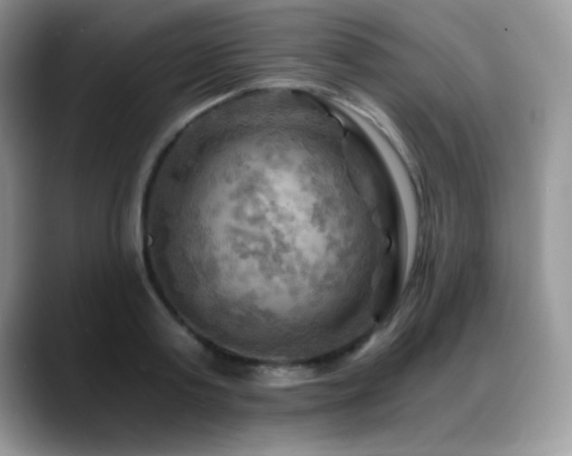 X0000088860795200706081152