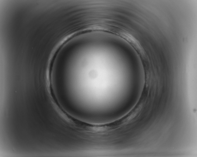 X0000088860796200706081152
