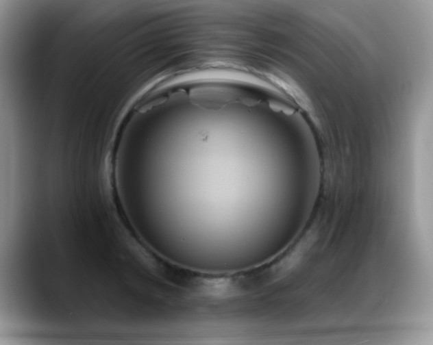 X0000088860798200706081152