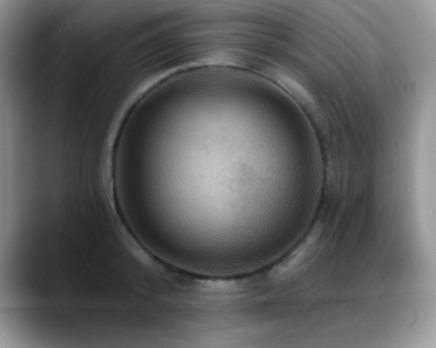 X0000088860800200706081152