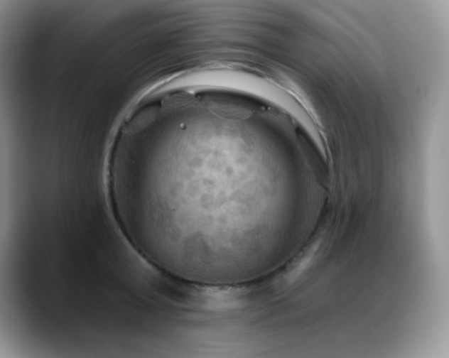 X0000088860803200706081152