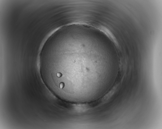 X0000088860804200706081152