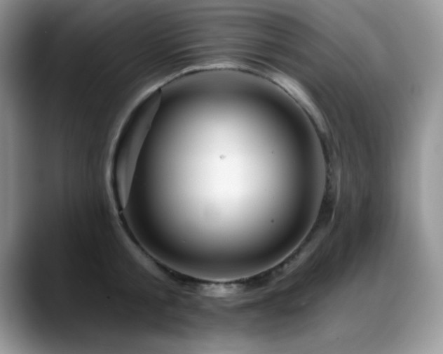 X0000088860805200706081152