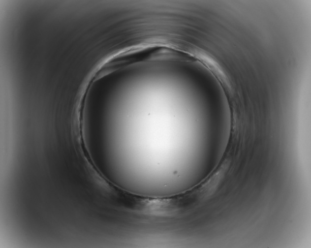 X0000088860808200706081152