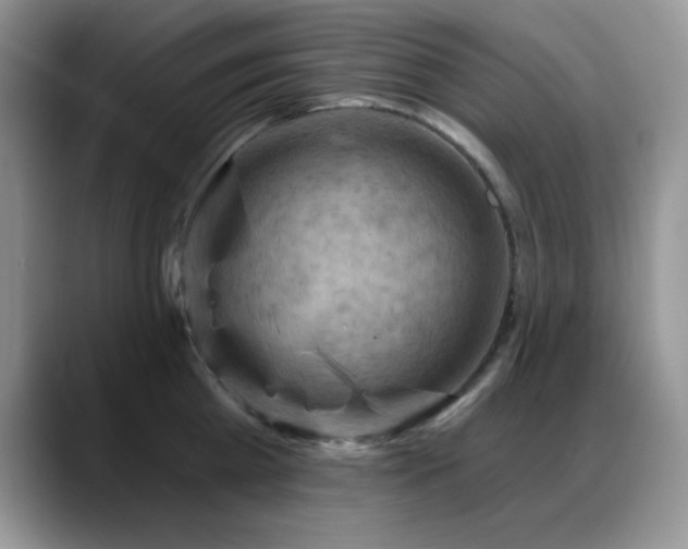X0000088860809200706081152