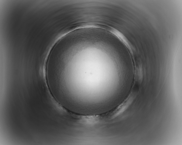 X0000088860813200706081152
