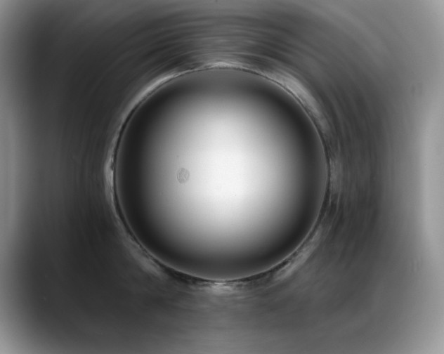 X0000088860814200706081152