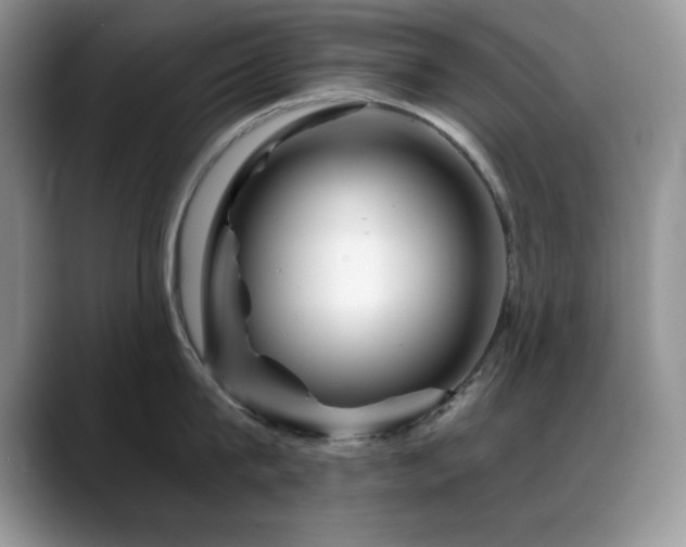 X0000088860815200706081152