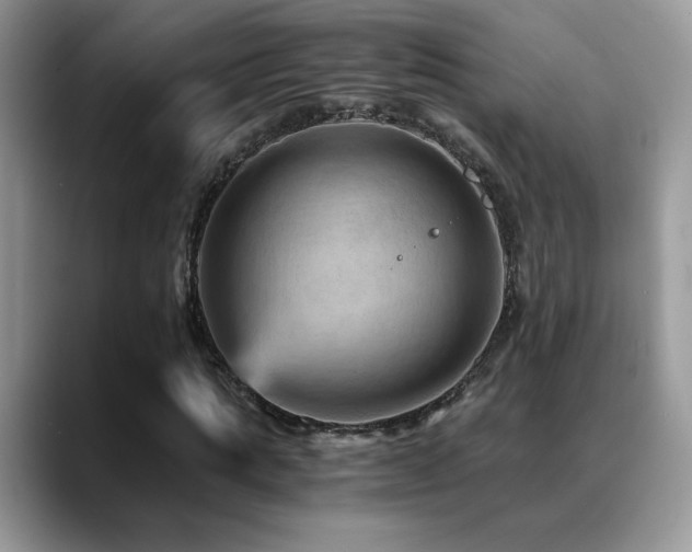 X0000088860821200706081151