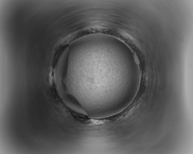 X0000088860822200706081151