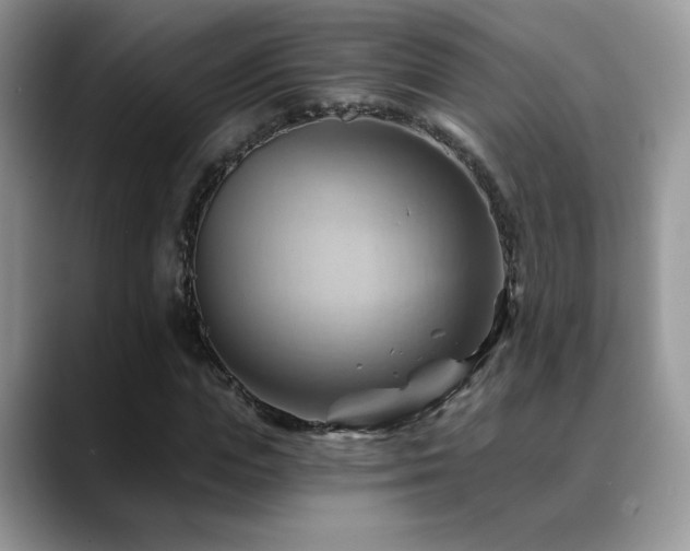 X0000088860823200706081151