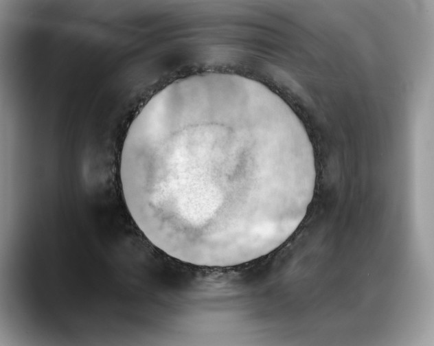 X0000088860824200706081151