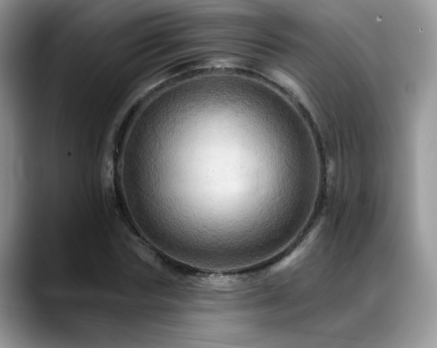 X0000088860827200706081151