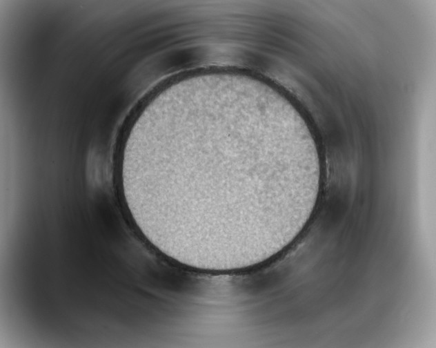 X0000088860828200706081151