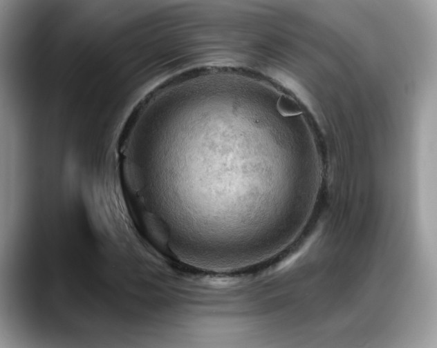 X0000088860829200706081151