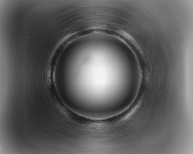 X0000088860830200706081151
