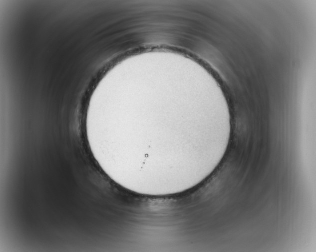 X0000088860832200706081151