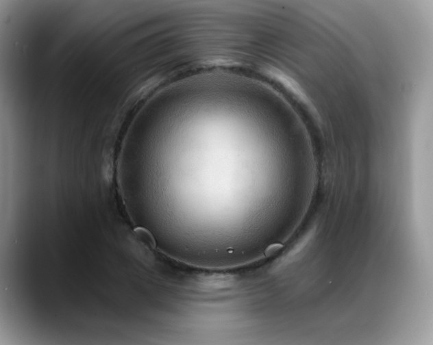 X0000088860833200706081151