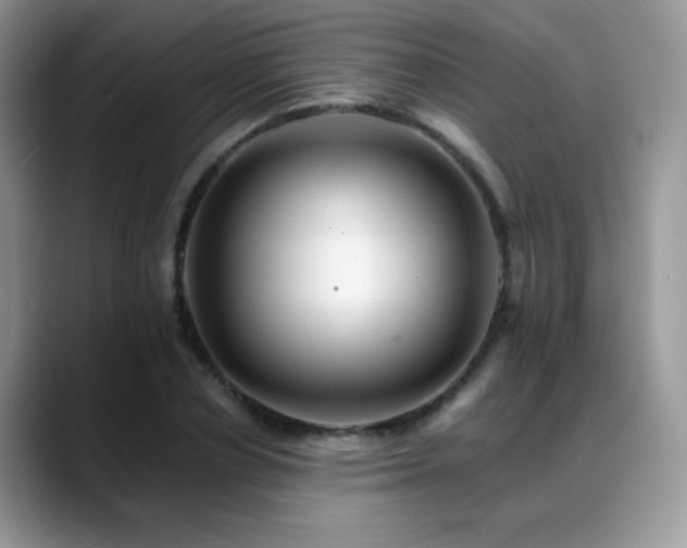 X0000088860834200706081151
