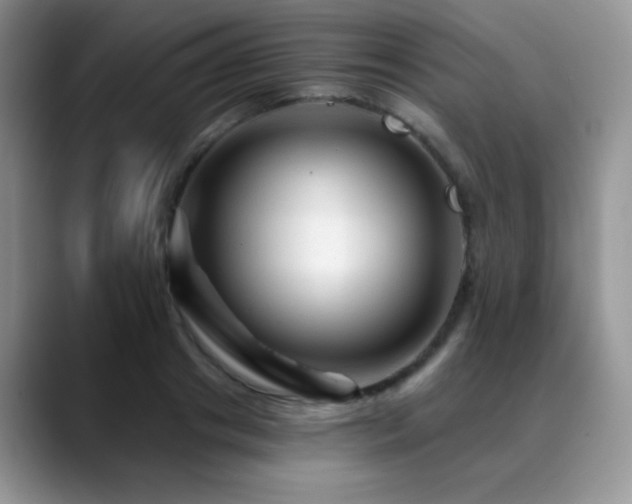 X0000088860841200706081151