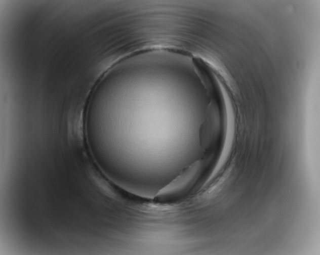 X0000088860842200706081151