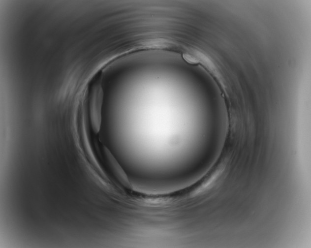 X0000088860843200706081151