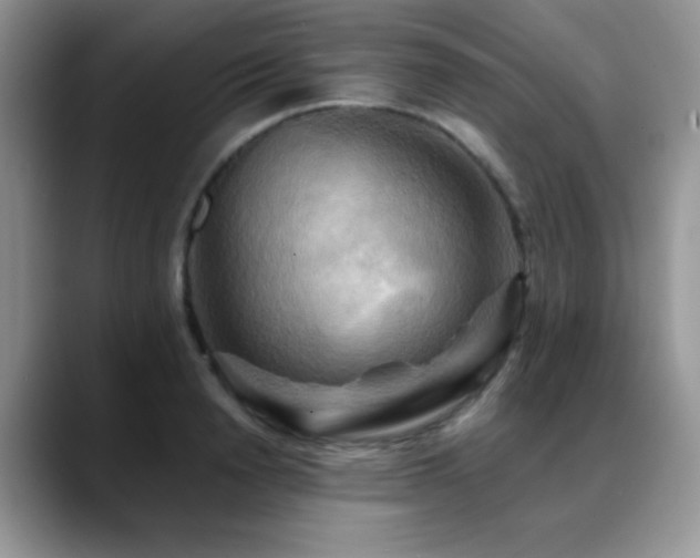 X0000088860846200706081151