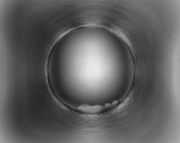 X0000088860847200706081151