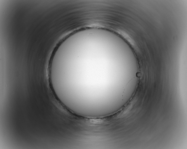X0000088860848200706081151
