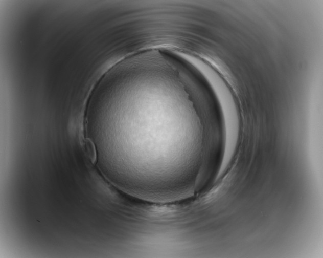 X0000088860850200706081151