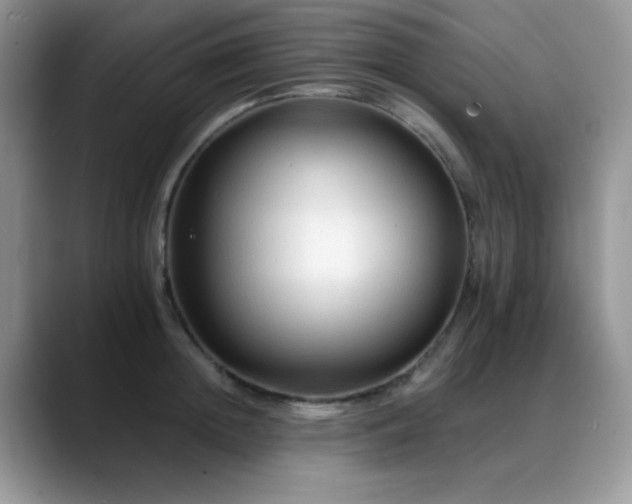 X0000088860852200706081151