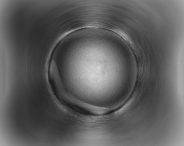 X0000088860854200706081151