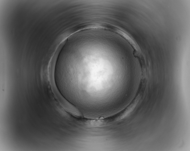 X0000088860858200706081151