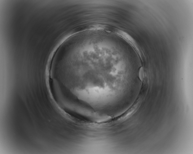 X0000088860859200706081151