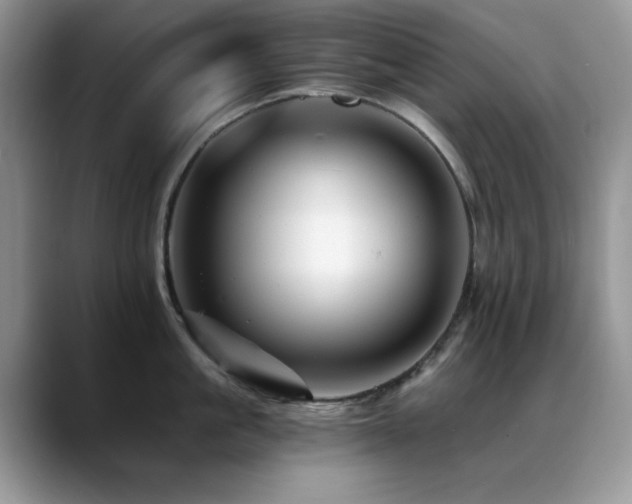 X0000088860861200706081151